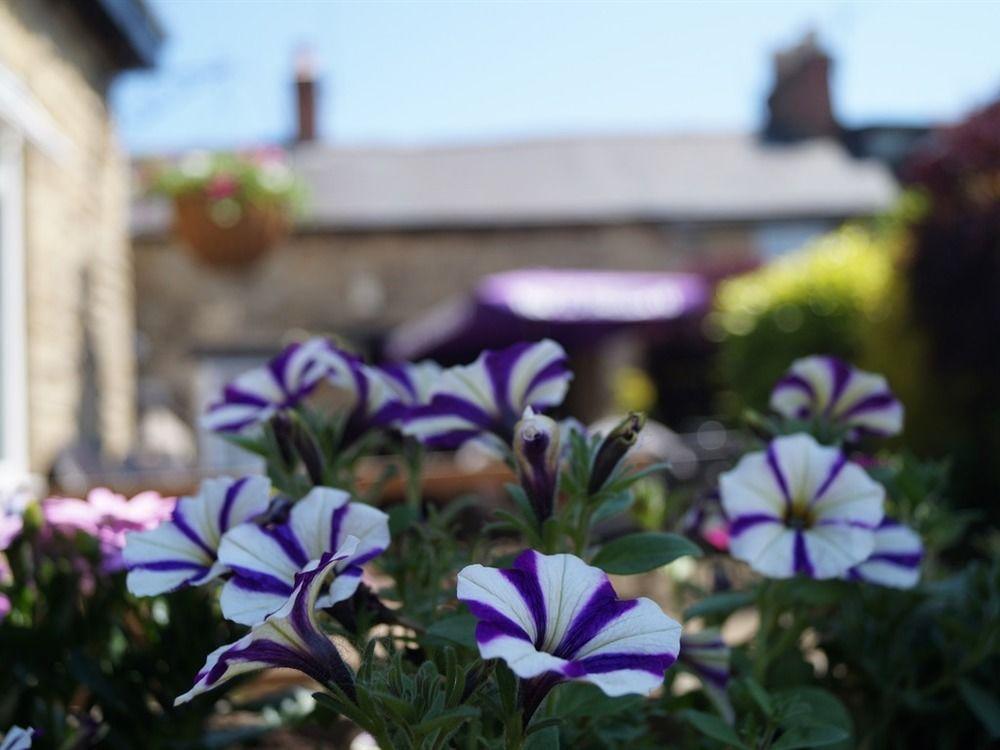 The Plough Bicester Exteriör bild